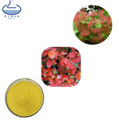Fisetin 98% Pure Fisetin Powder CAS 528-48-3