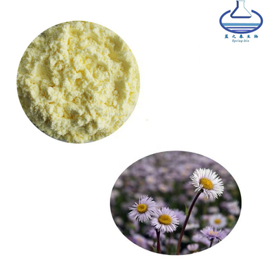 CAS 116122-36-2 Erigeron Breviscapus Extract Breviscapine Powder