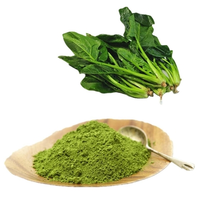 Food Grade Pure Plant Extracts Bulk Freeze Dried Spinach Powder