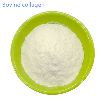 High Quality Hydrolyzed Bovine Collagen Powder