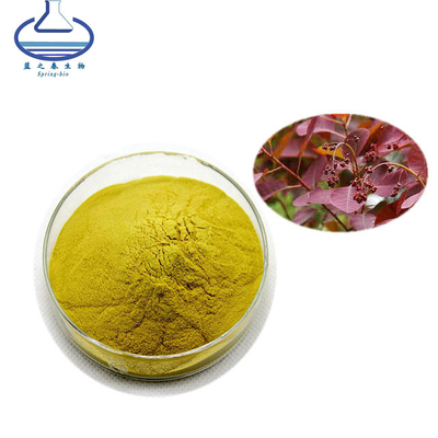 Fisetin 98% Pure Fisetin Powder CAS 528-48-3