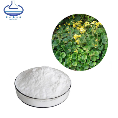CAS 477-90-7 Bergenin Powder Bergenia Purpurascens Extract