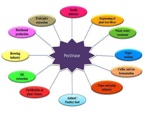 Food Garde Pure Plant Extracts 30,000u/g Enzyme Pectinase