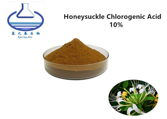 Natural Honeysuckle Extract Powder Chlorogenic Acid 10% Powder CAS 327-97-9