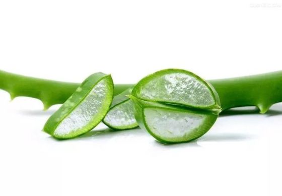 Pure Ectoin In Skincare , Moisturizing Aloe Vera Gel Freeze Dried Powder