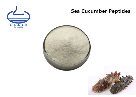 Anti aging Sea Cucumber Powder Food Grade For Improve Immunity