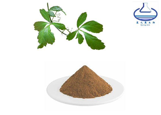 98% Gynostemma Pentaphyllum Leaf Extract 80321-63-7 Healthcare Grade