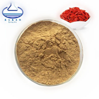 Dried Fruit Goji Berry Extract Powder Polysaccharides CAS 107-43-7