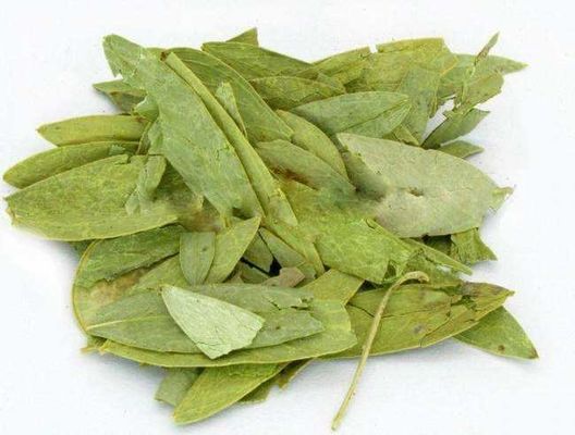 Natural Grade Senna Leaf Powder Extract CAS 517-43-1 Sennoside A B